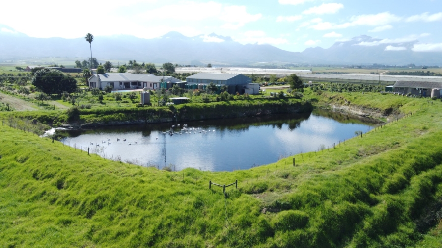 8 Bedroom Property for Sale in George Rural Western Cape